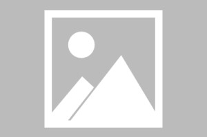 万博max官网-广东宏远新签外援最新消息